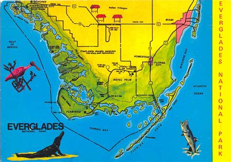 MAP of Everglades in Florida